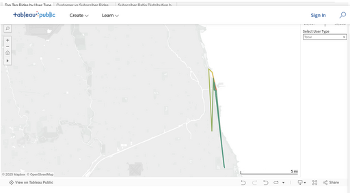 Thumbnail of a map showing colored lines between bike stations, representing top 10 ride paths by user type